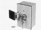 NEMA 4 post mount key switch